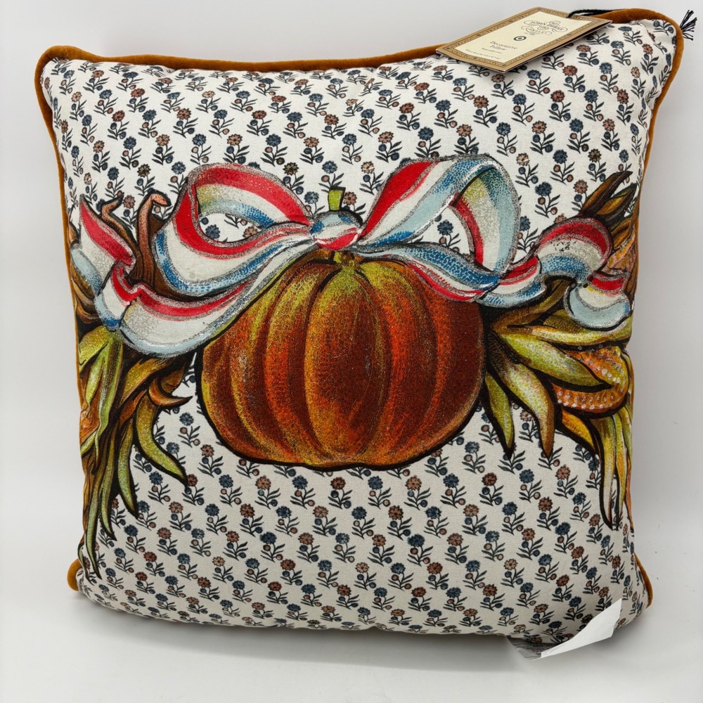John Derian for Target Pumpkin Harvest Decorative Pillow Rust Velvet Back 16x16